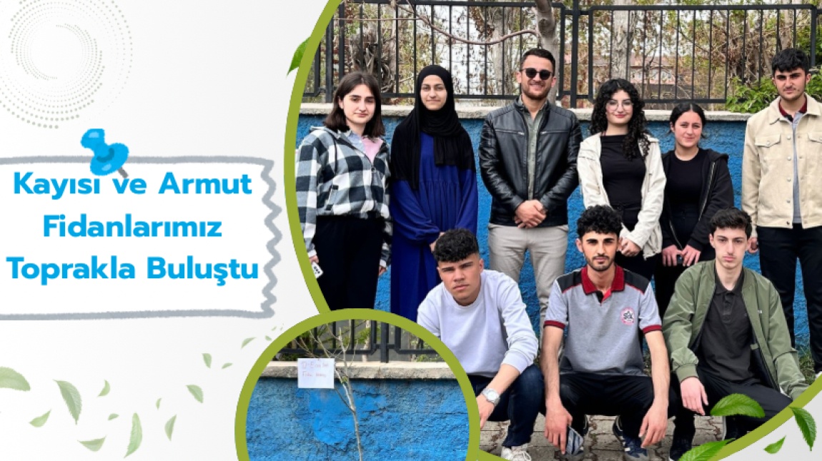 Kayısı ve Armut Fidanlarımız Toprakla Buluştu